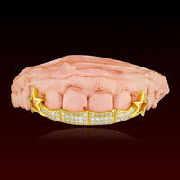 Star Fang with Bar Custom Grillz