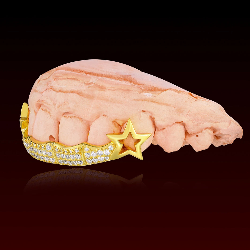 Star Fang with Bar Custom Grillz